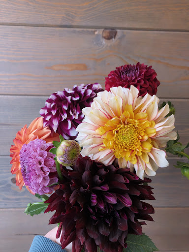 Florist «Arapahoe Floral», reviews and photos, 8577 E Arapahoe Rd, Greenwood Village, CO 80112, USA