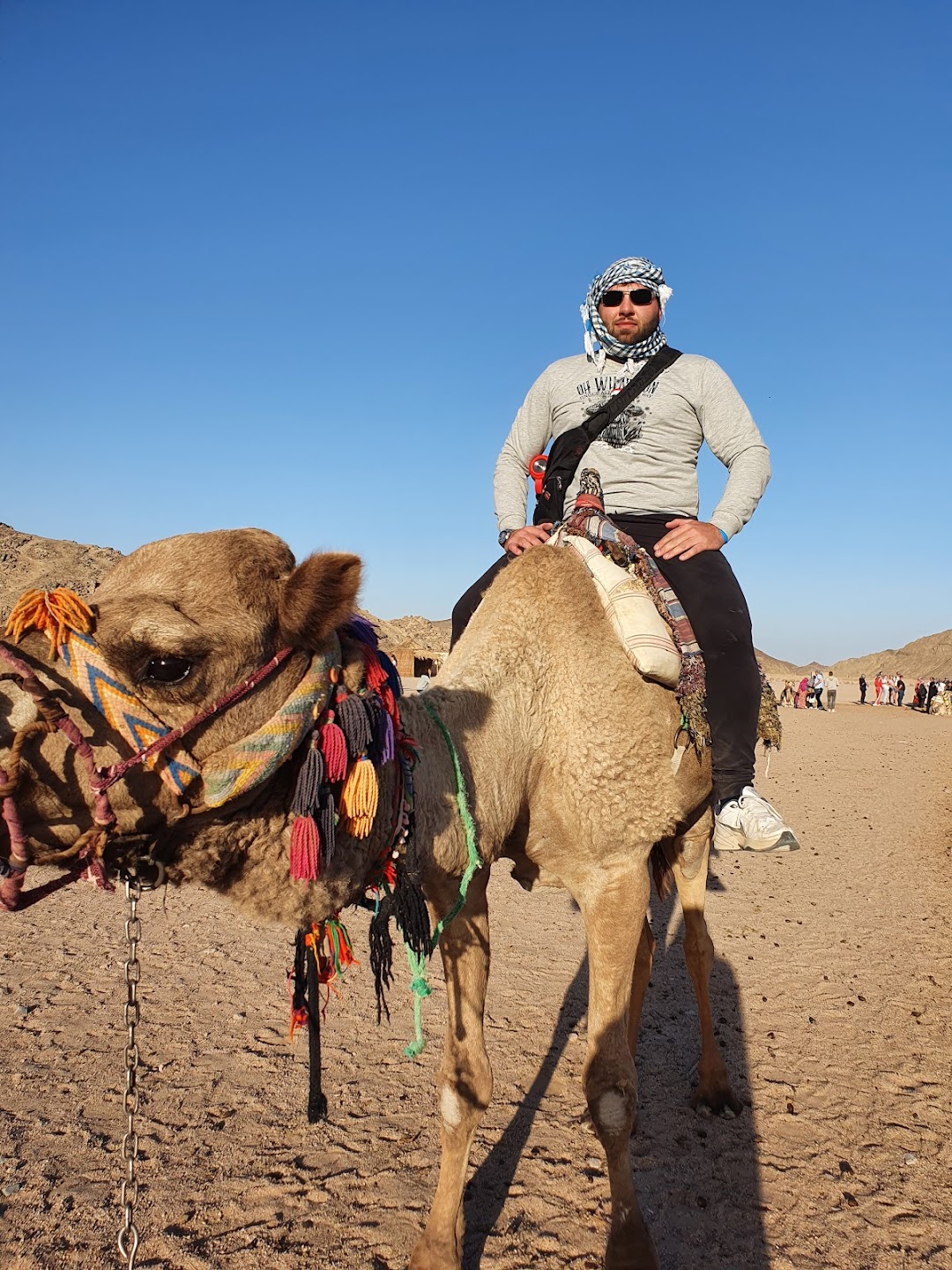 Bedouin Camel Ride
