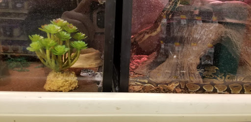 Pet Supply Store «PetSmart», reviews and photos, 1042 Fairplain Dr, Benton Harbor, MI 49022, USA