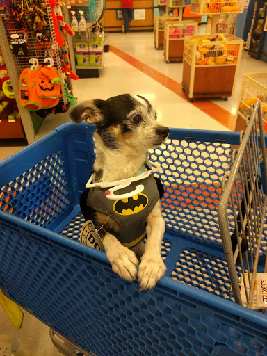 Pet Supply Store «PetSmart», reviews and photos, 2550 Cherry Ave, Signal Hill, CA 90755, USA