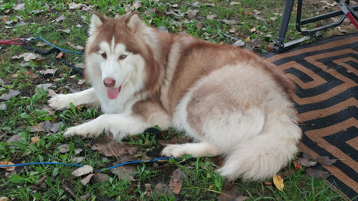 Campground «Hide Away Lakes», reviews and photos, 8045 Van Emmon Rd, Yorkville, IL 60560, USA