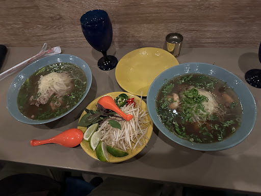 533 Viet Fusion image