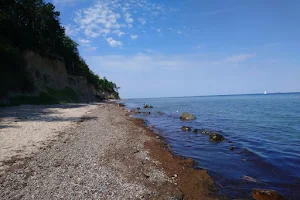 Diedrichshagen Strand image