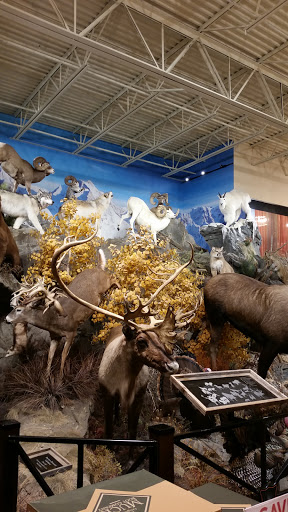 Outdoor Sports Store «Field & Stream», reviews and photos, 60 Old Mill Blvd, Washington, PA 15301, USA