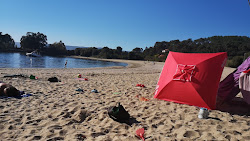 Porron beach'in fotoğrafı çok temiz temizlik seviyesi ile