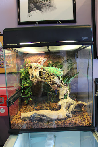 Explore norse sleeve tattoo ideas, creative tattoo ideas in Miami, available at Green Machine Tattoos & Body Piercing