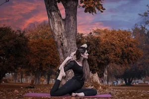 Kurves Yoga & Fitness image