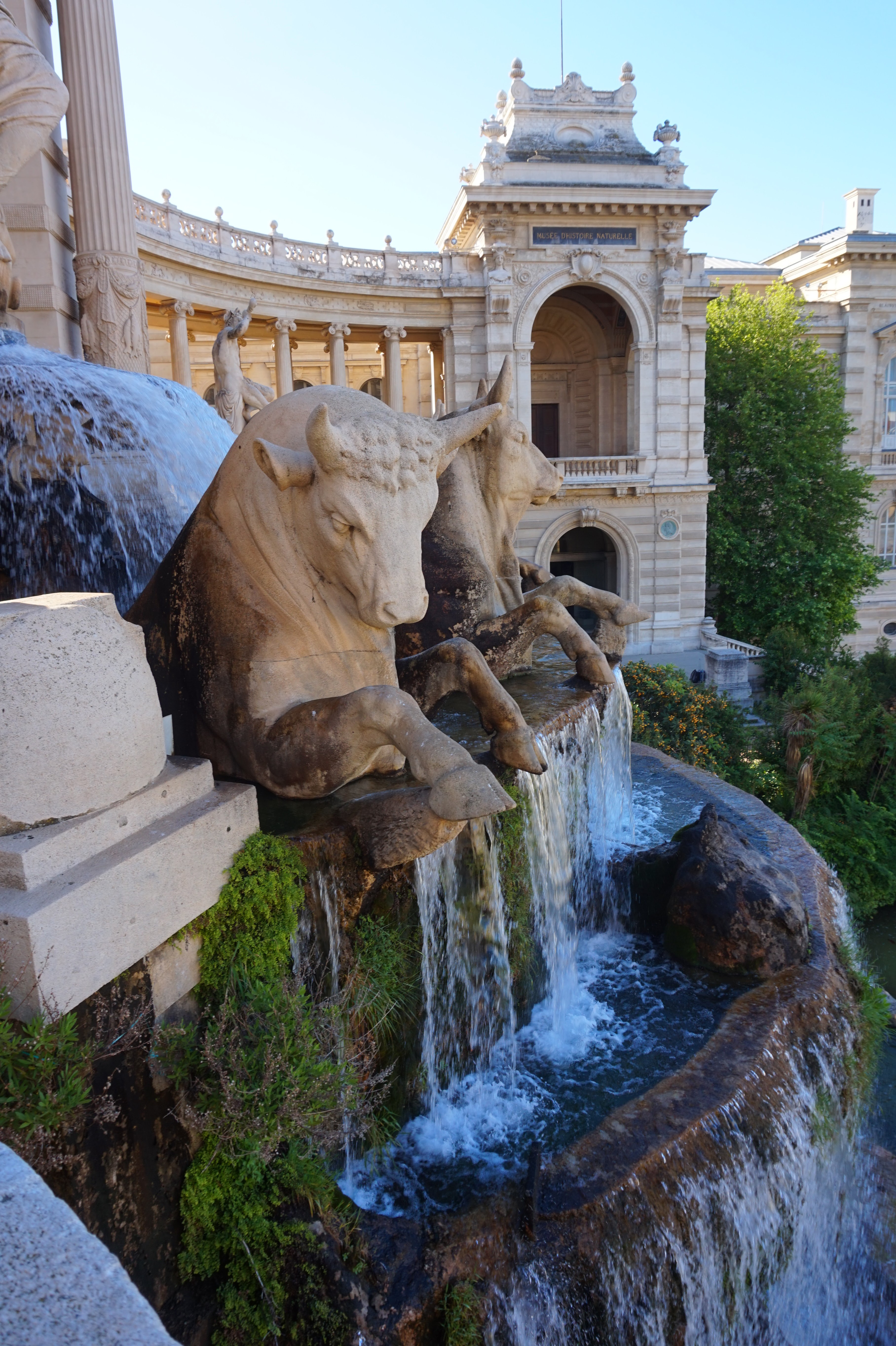 Photo n° 8 de l'avis de Cecyle. fait le 25/06/2023 à 13:49