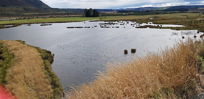 Reviews of Rakatu Wetlands restauration project in Invercargill - Museum