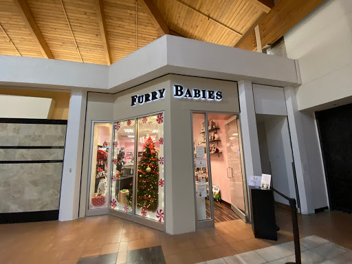 Pet Store «Furry Babies Inc», reviews and photos, 3340 Mall Loop Dr, Joliet, IL 60431, USA