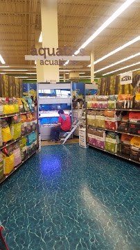 Petco - Photo 7 - Car repair in Aurora, CO, Denver