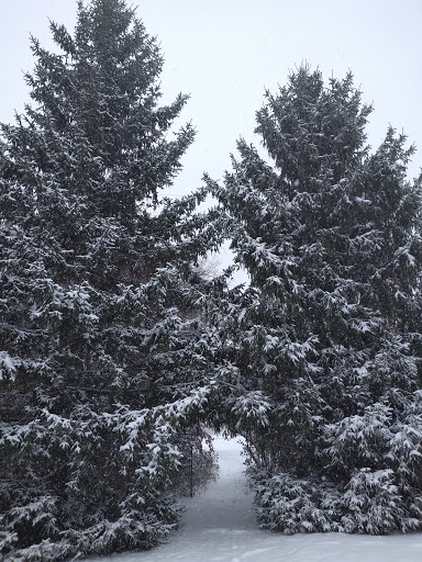 Hardware Store «Great Lakes Ace Hardware», reviews and photos, 5591 Sashabaw Rd, Village of Clarkston, MI 48346, USA