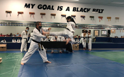Taekwondo lessons Virginia Beach