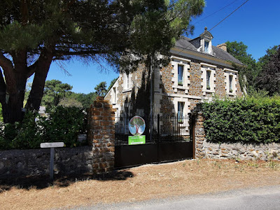 Quatre Chats Sous un Pin à Gennes-Val-de-Loire