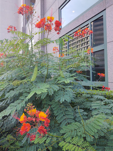 Museum «Bullock Texas State History Museum», reviews and photos, 1800 Congress Ave, Austin, TX 78701, USA