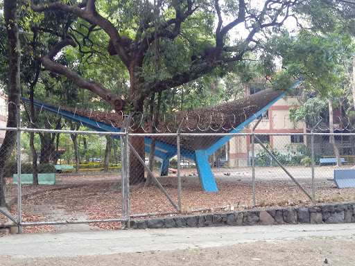 Parque El Pañuelo