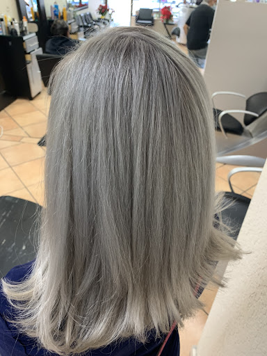 Hair Salon «Great Looks Hair Spa», reviews and photos, 5056 N Dixie Hwy, Oakland Park, FL 33334, USA