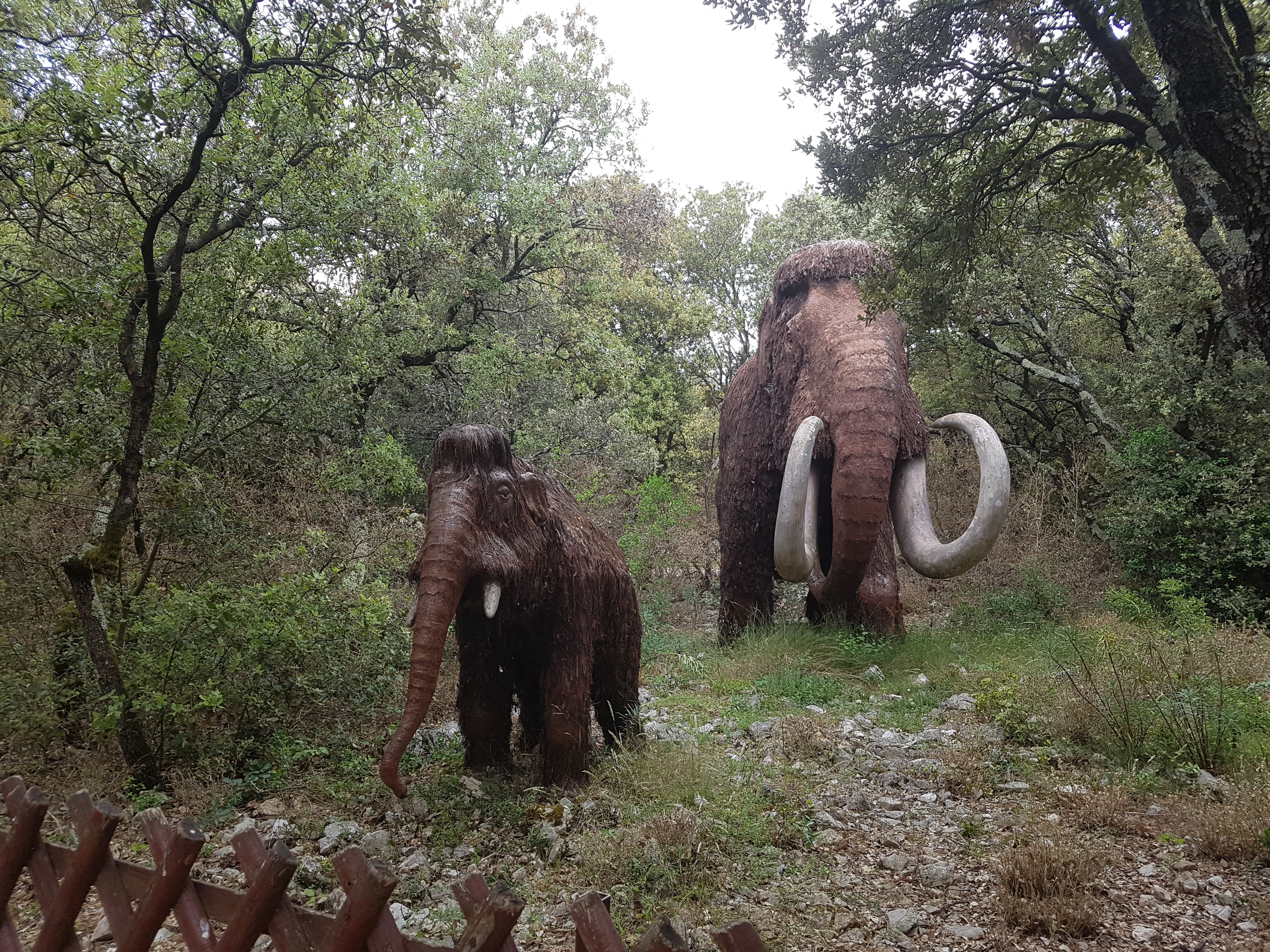 Photo n° 3 de l'avis de Johanna.A fait le 05/06/2019 à 18:32