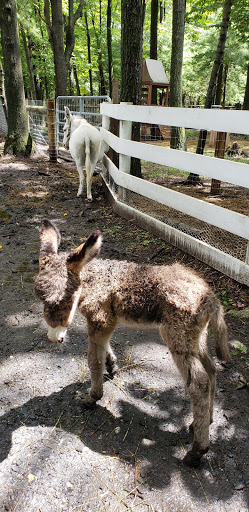 Grocery Store «Kreeky Tree Farm», reviews and photos, 8755 Jones Rd, Slatington, PA 18080, USA