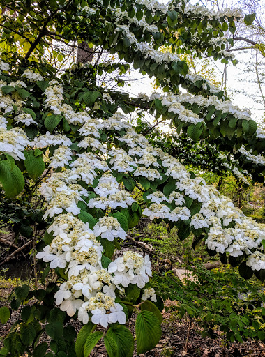 Nature Preserve «Blue Heron Nature Preserve», reviews and photos, 4055 Roswell Rd NE, Atlanta, GA 30342, USA