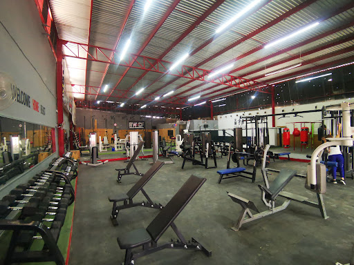 RVL GYM