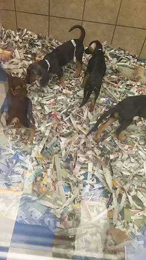 Pet Supply Store «Pets Plus - Bensalem», reviews and photos, 1336 Bristol Pike, Bensalem, PA 19020, USA