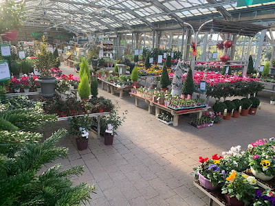 JARDINERIE ANIMALERIE VILLAVERDE LUNEL ET PETITE CAMARGUE à Lunel