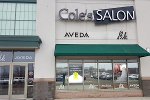 Cole's Salon image
