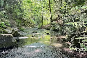 Boeing Creek Park image
