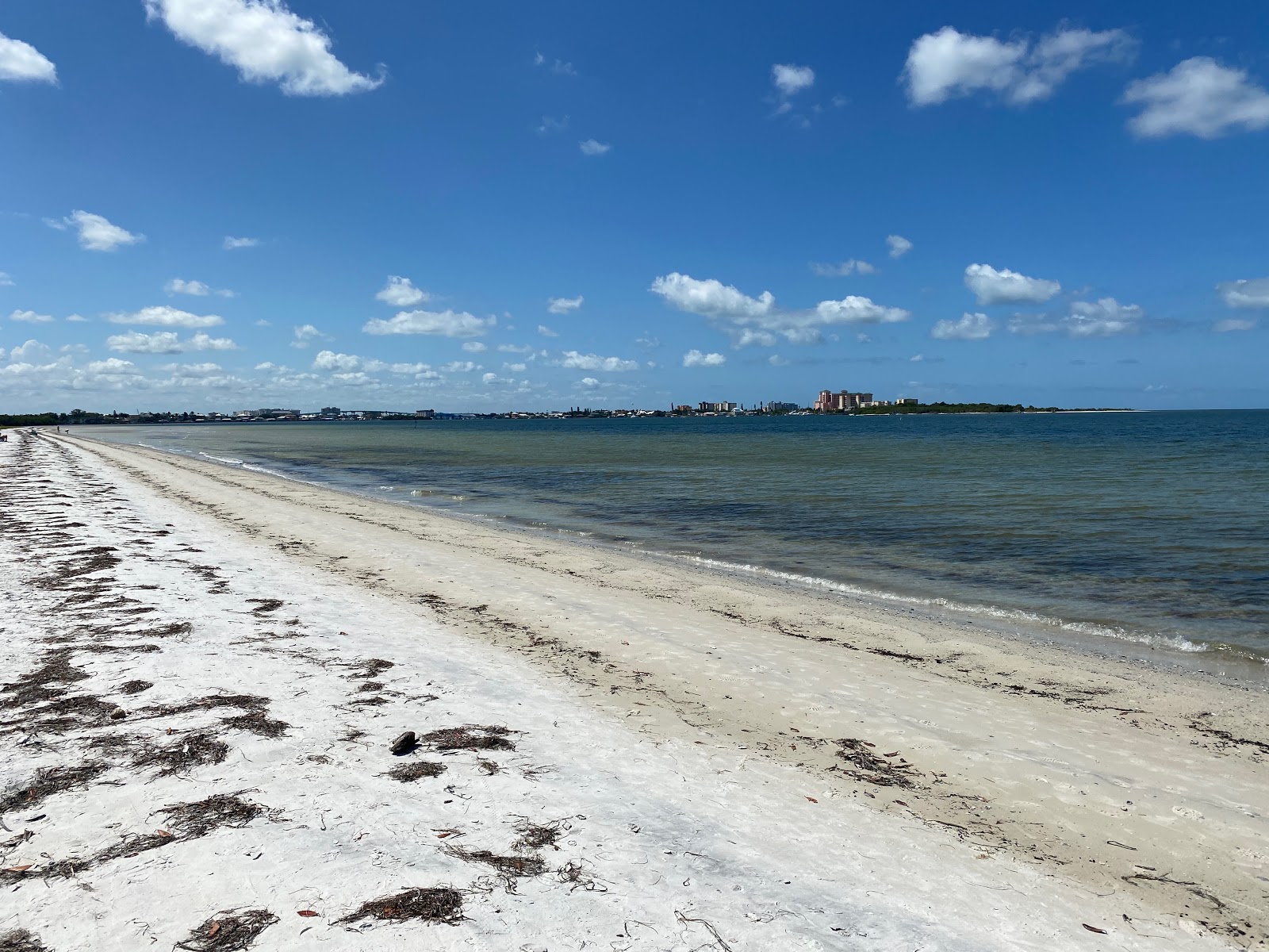 Bunche beach photo #7