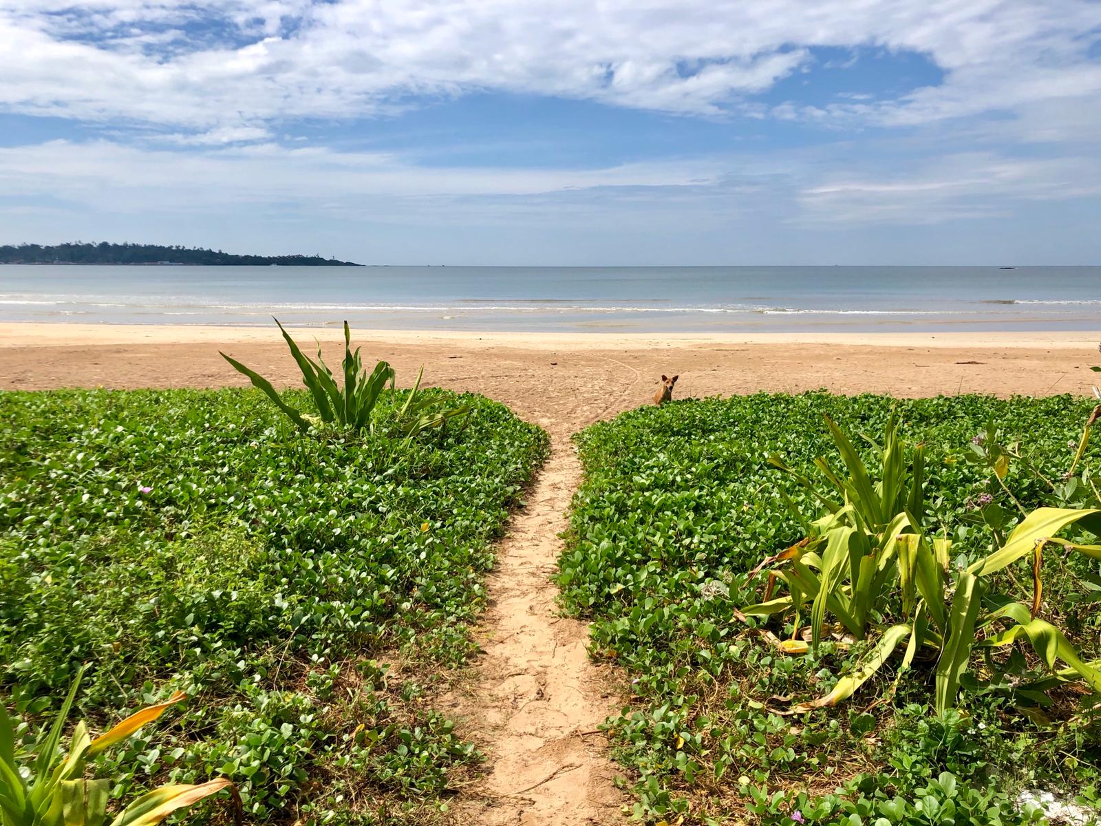 Foto av Weligama Beach och bosättningen