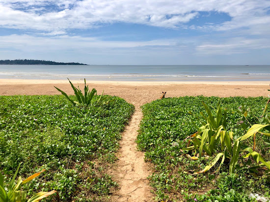 Weligama Beach