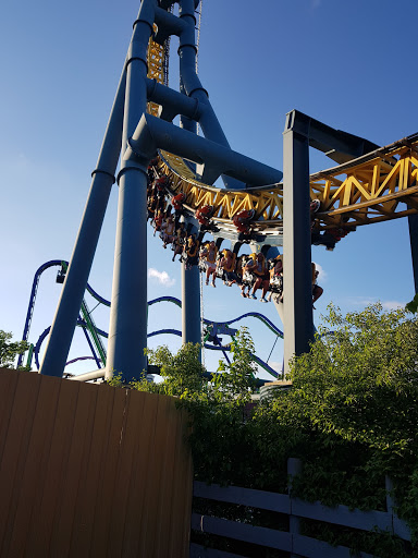 Ice Cream Shop «Oberweis Ice Cream and Dairy Store», reviews and photos, 5572 W Grand Ave Suite 1, Gurnee, IL 60031, USA