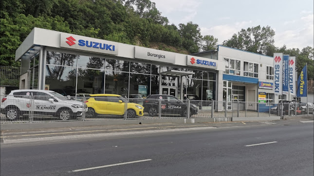 Suzuki MÁRKAKERESKEDÉS - SZERVIZ - Borongics Kft
