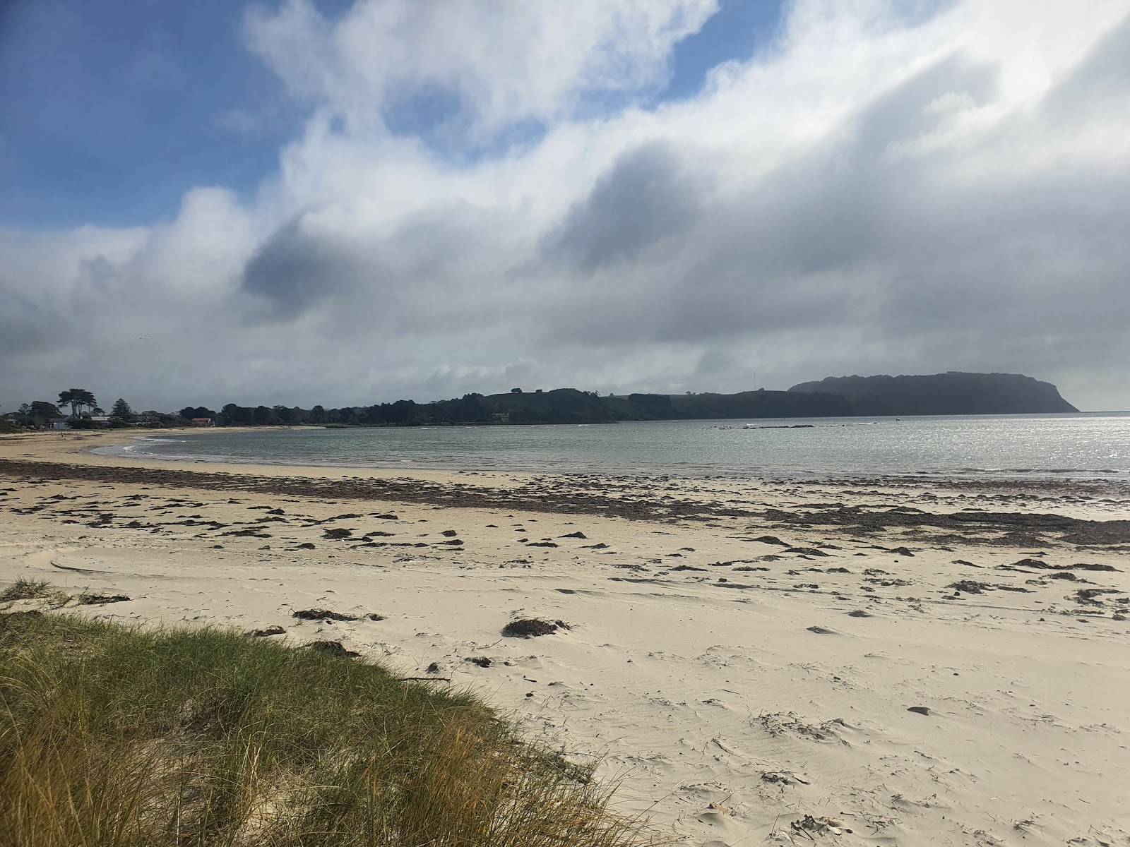 Foto di East Wynyard Beach con una superficie del sabbia beige e rocce