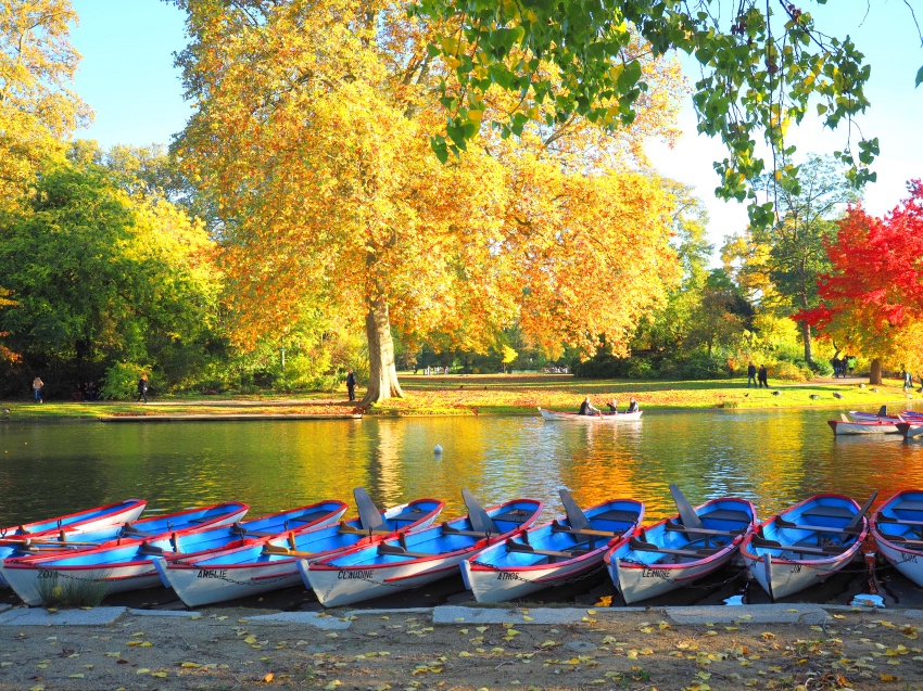 Photo n° 14 de l'avis de Laurent.o fait le 08/07/2023 à 20:50