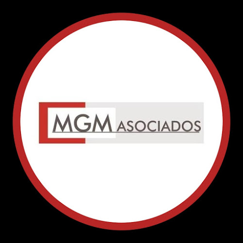 MGM AUDITORES CONSULTORES SPA - Spa