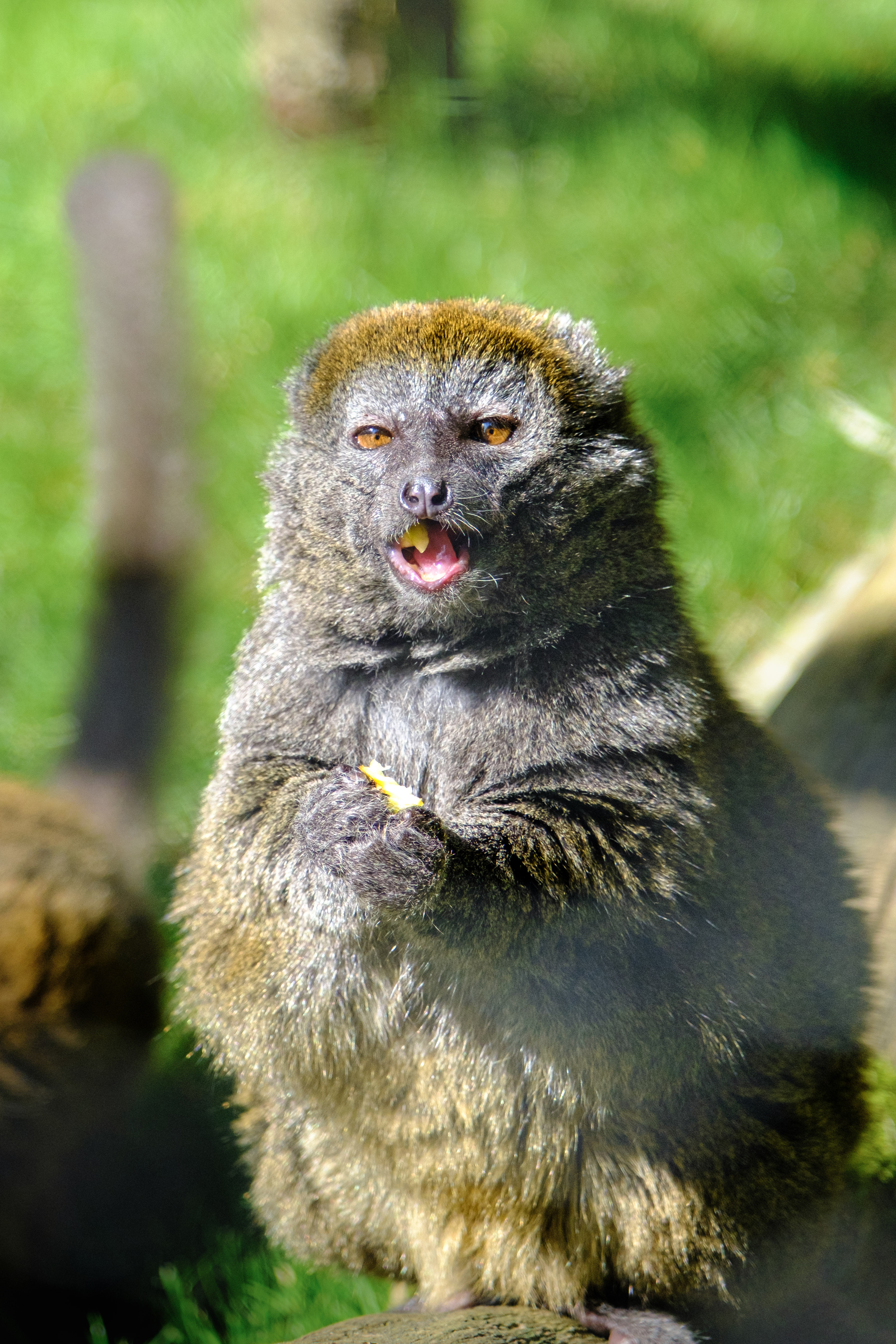 Photo n° 2 de l'avis de Perrine.o fait le 15/06/2023 à 16:35