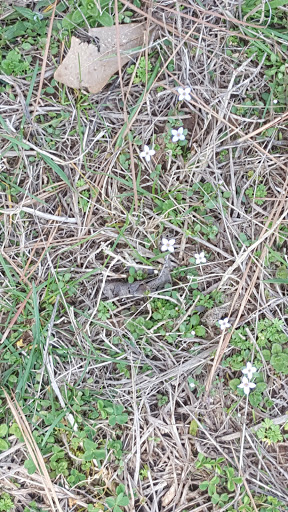 Park «Wild Horse Creek Park», reviews and photos, 3820 Macedonia Rd, Powder Springs, GA 30127, USA