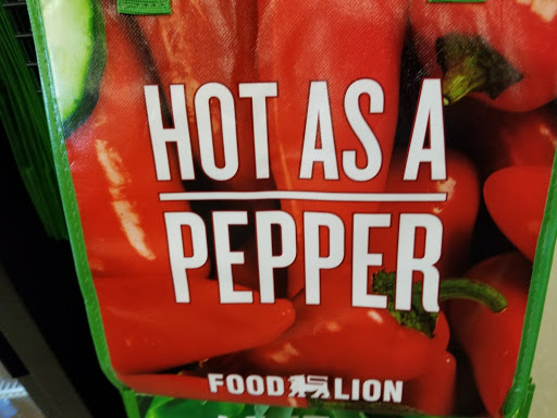 Grocery Store «Food Lion», reviews and photos, 1903 SC-544, Conway, SC 29526, USA