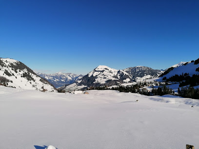 Alphütte Langboden