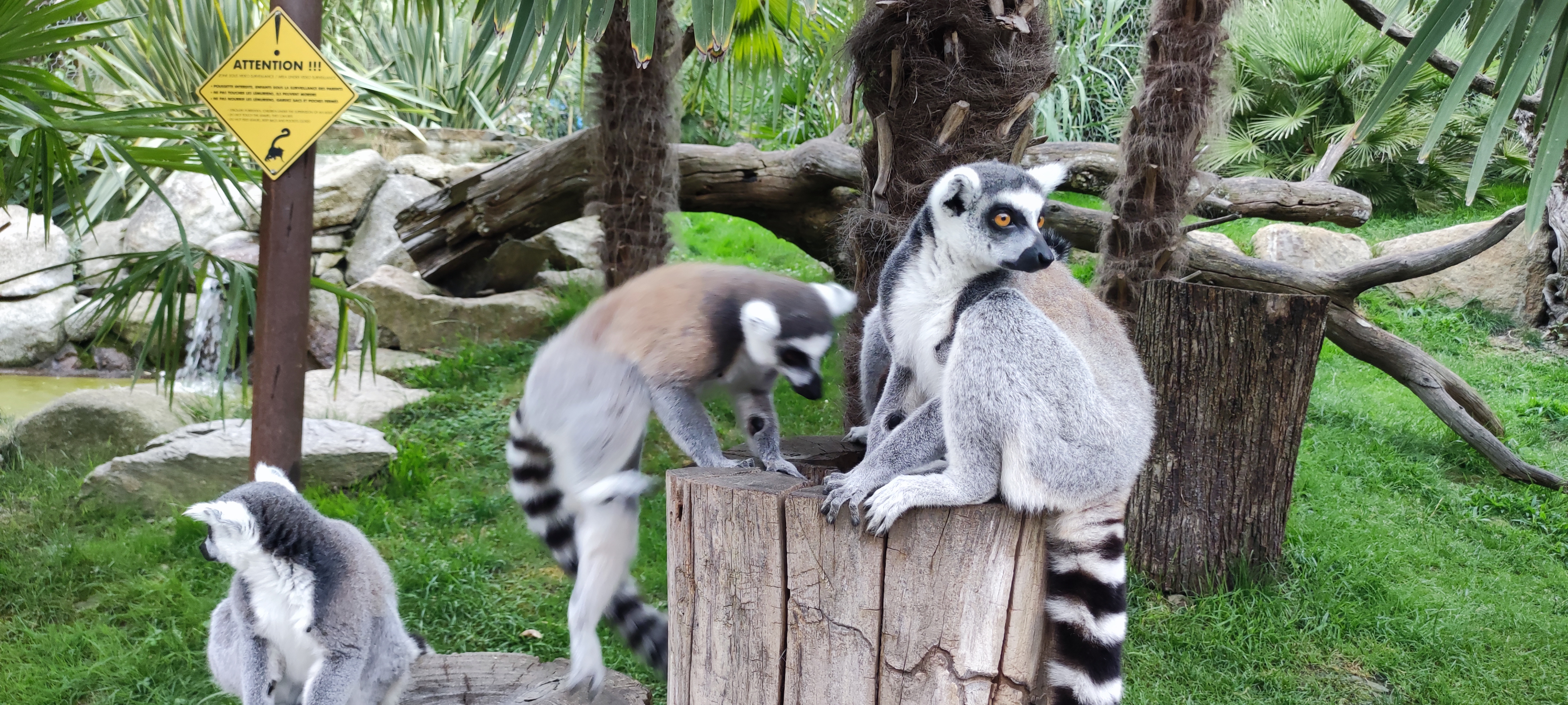 Photo n° 10 de l'avis de Aurélie.i fait le 15/07/2021 à 17:00