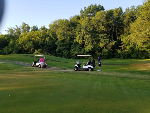 Golf Course «Brookwood Golf Course», reviews and photos, 1339 Rynearson St, Buchanan, MI 49107, USA