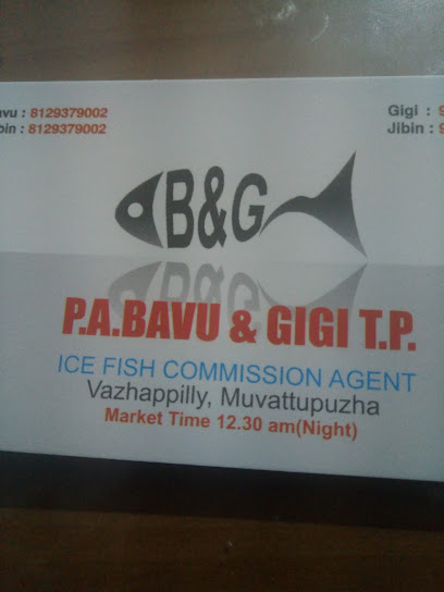 PA Bavu & Sons Ice Fish agent