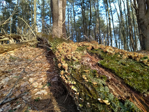 Golf Club «Crystal Lake Golf Club», reviews and photos, 940 N Broadway, Haverhill, MA 01832, USA