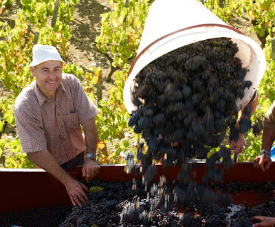 VIGNOBLE DANIEL VOLUET à Juliénas