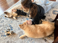 Happy Tails Zionsville