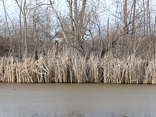 Nature Preserve «Wilson Springs Ponds», reviews and photos, 3209-3507 S Powerline Rd, Nampa, ID 83686, USA
