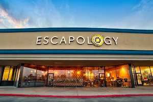 Escapology image
