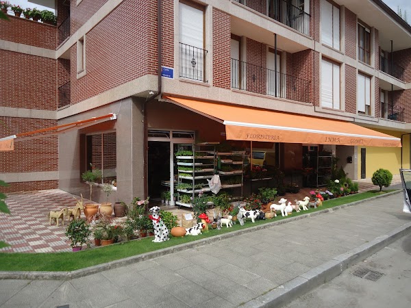 Imagen de FLORISTERIA INMA GOMEZ (1 de 6)